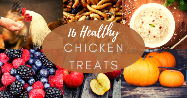 16 Healthy Chicken Treats