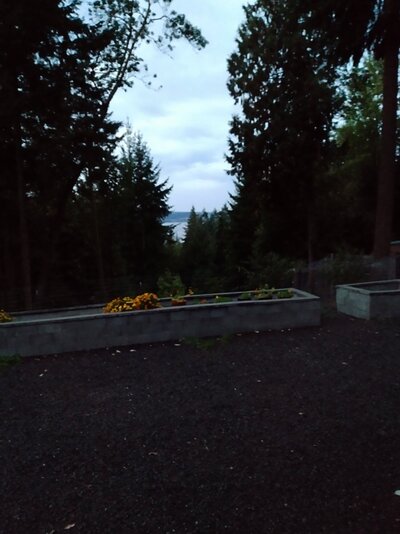 IMG_20211009_185457_HDR~2.jpg