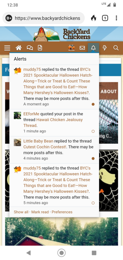 Screenshot_20211010-123822.png