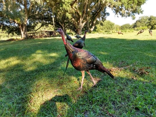 IMG_20211010_093818712_HDR.jpg