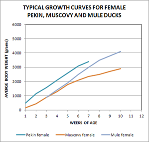Female weight for age.png