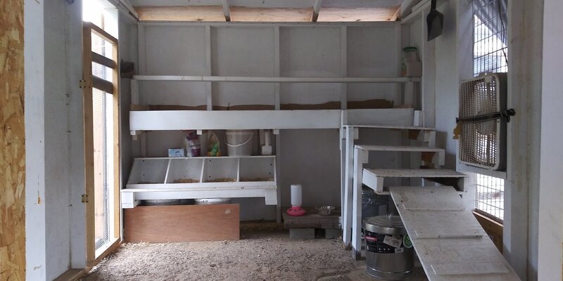 InsideCoopfromcleaningdoor.jpg