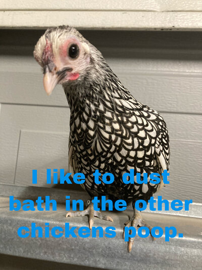 6244D5E3-C5C9-4A3C-9184-1996B10D48D4.jpeg