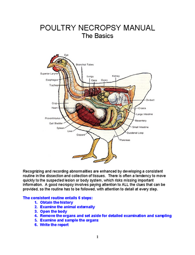Microsoft Word - Poultry necropsy manual 2008.doc_Page_01.png