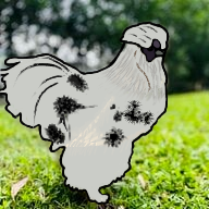 Untitled14_20211015155329.png
