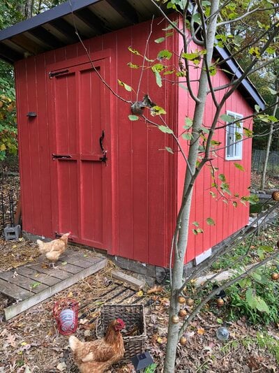 Coop with a mini pond