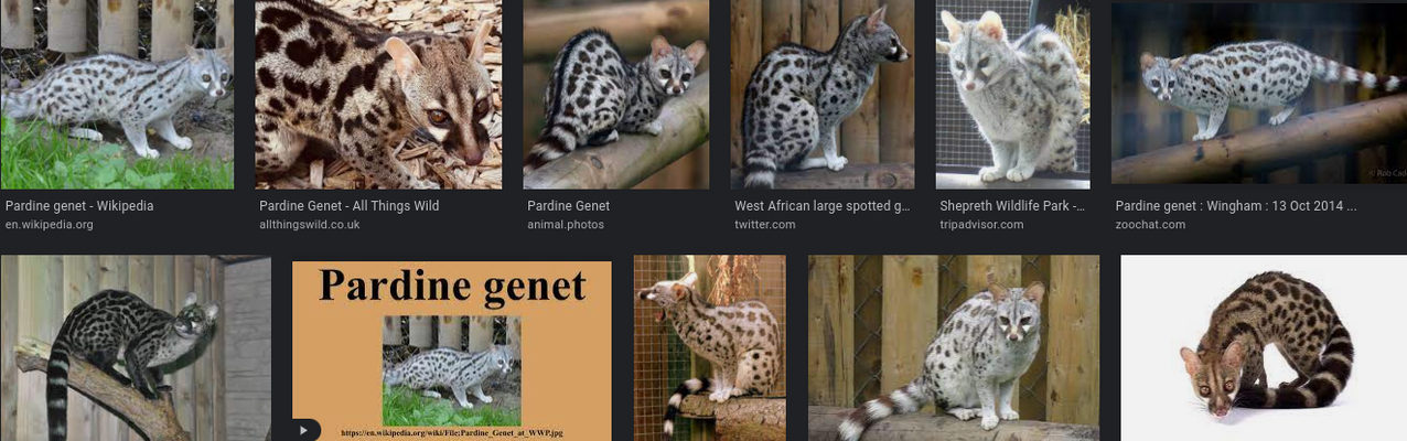 Screenshot 2021-10-27 9.02.26 PM.png