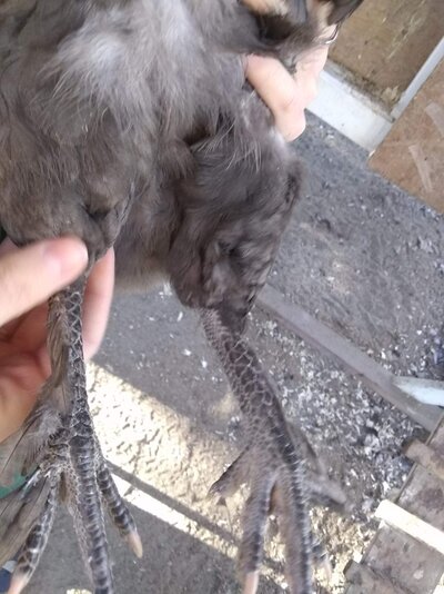 received_314433863393258.jpeg