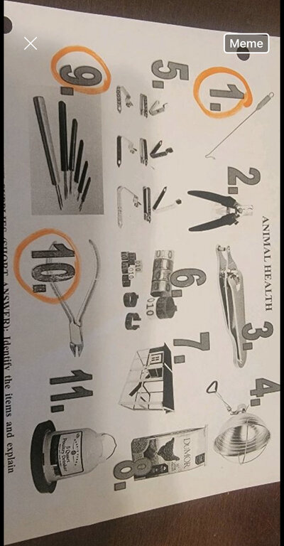 8F1CECF9-405B-4A82-9B67-B0F03FCBEF7C.jpeg