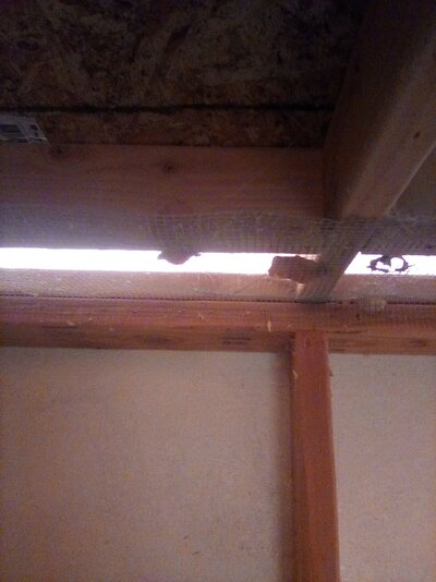 IMG_20201223_125835.jpg