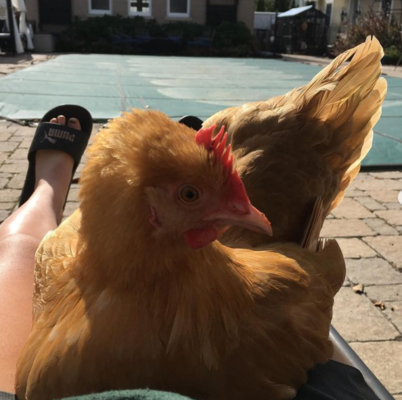 wendy sunbathing.PNG