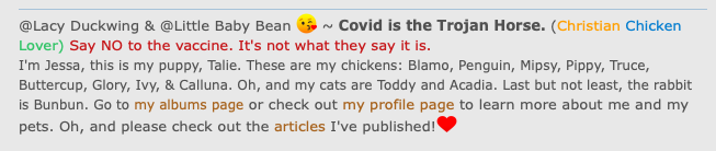 Screen Shot 2021-11-09 at 3.06.38 PM.png