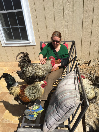 21 Chickens 01.jpeg