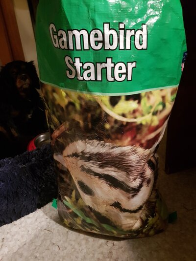 20211112_113759.jpg