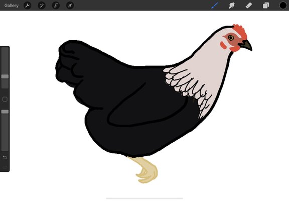 9D76DE0D-E080-48F1-8303-F74E70B701C4.jpeg