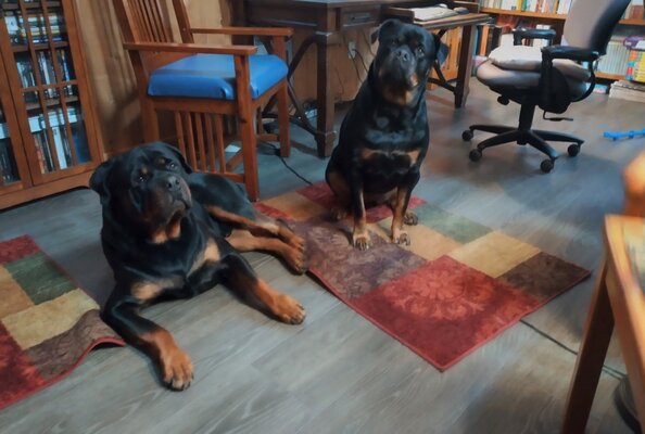 IMG_20210927_175141_HDR (2).jpg