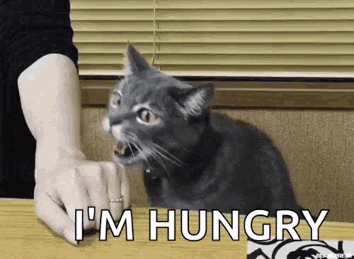 CC99F471-F490-4167-845E-296476CC2093.gif