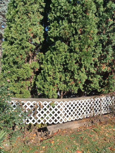 20211116_114029_HDR.jpg