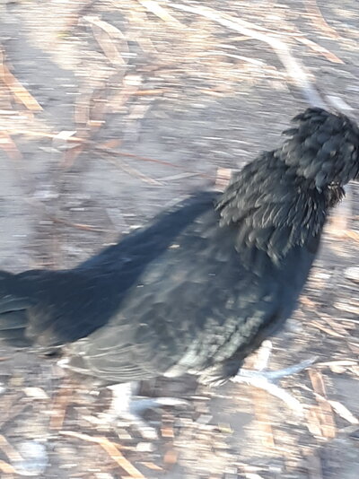 20211116_075752.jpg