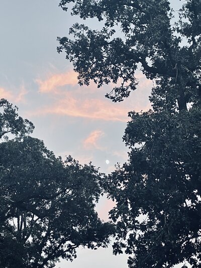 C2D082AC-8B31-4CA9-955A-A899E37F9C12.jpeg