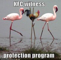 1709131987-kfc-chicken-stilts-flamingos.jpg