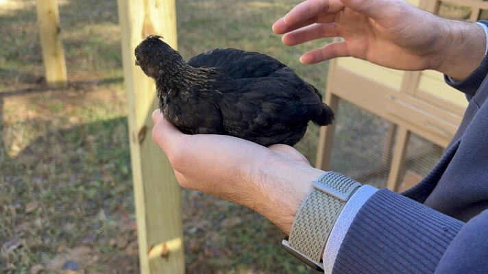 Bird1.JPG