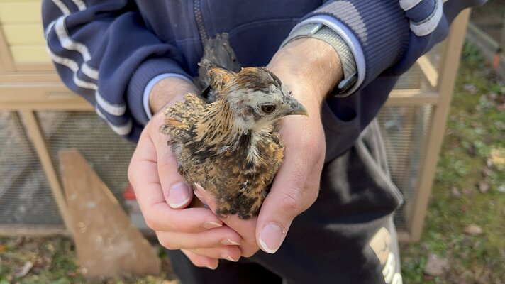 Bird2_1.JPG