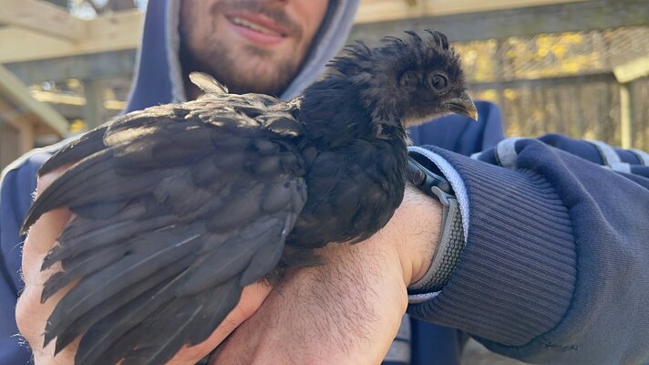 Bird3_1.JPG
