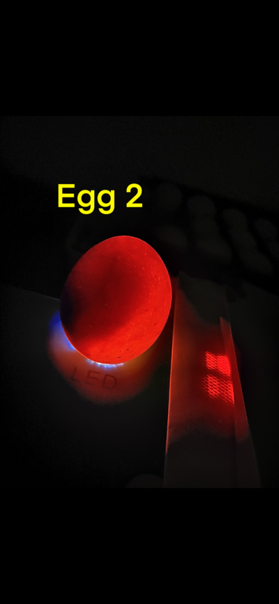 EDFD49E6-8E70-430E-8AD6-F82D2F597E3A.png