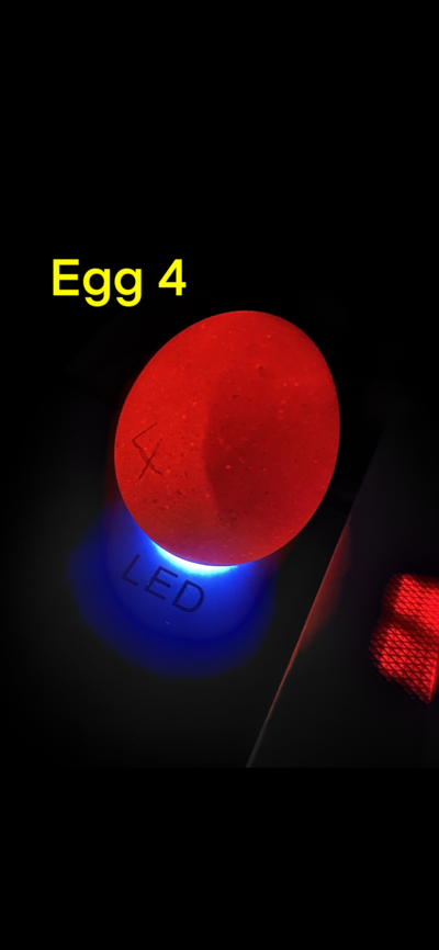 6E918C76-3ECA-4732-89CC-48577954DFB2.png