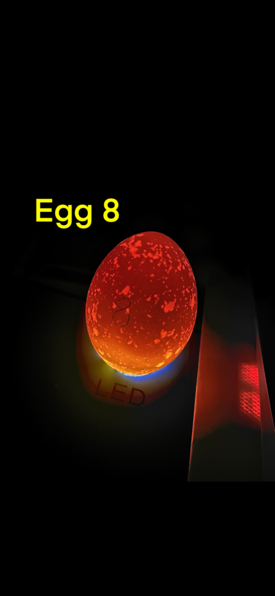 3682F8FE-1058-43CC-8DFE-D102F39BAF6F.png