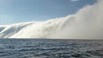 04E64C27-006C-4ACD-B4AD-A6EB9A65DB92.gif