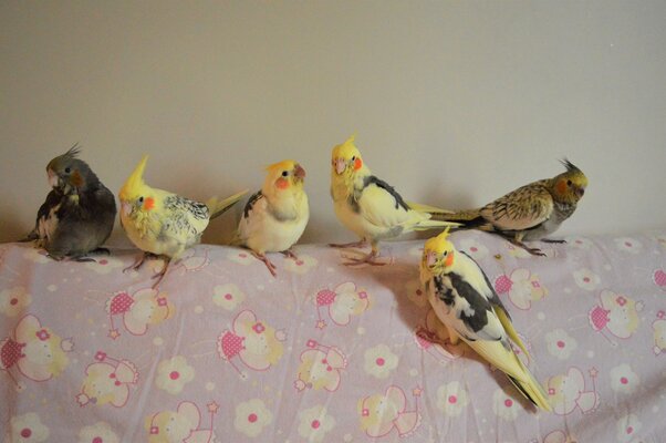 Group shot.jpg