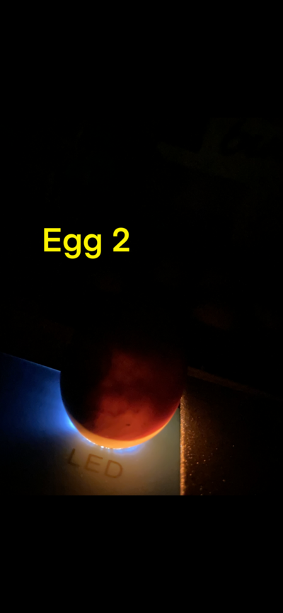 304A03E2-8E6A-4BD1-9C28-8B6FC7DF8CBD.png