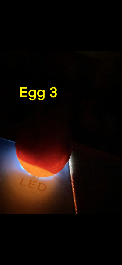 FF919933-3FF1-4D43-B2DC-509D49BCF68A.png