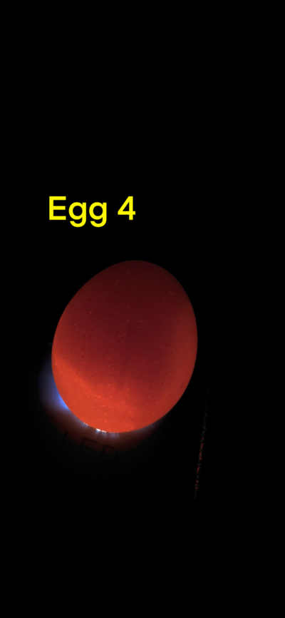 C198BD41-78A6-4A42-858D-5DEF69E53382.png