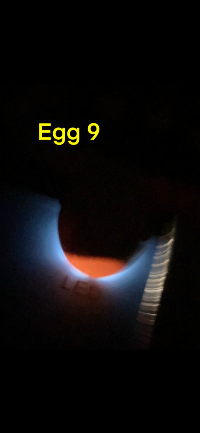 076E27A9-1757-4863-9211-5D1D4448E435.png