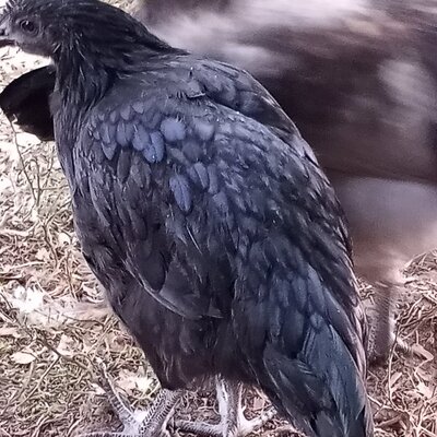 20211124_165519.jpg