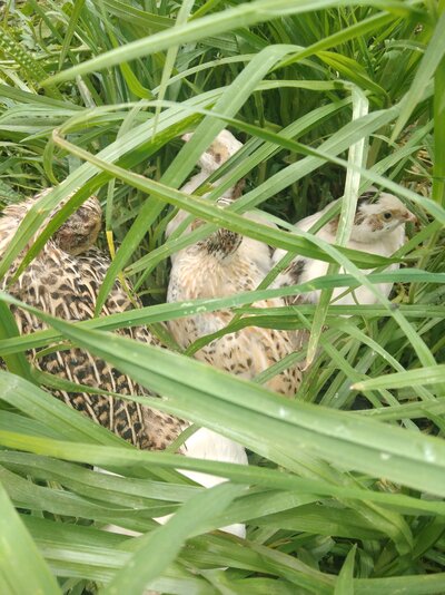 IMG20211125131639.jpg