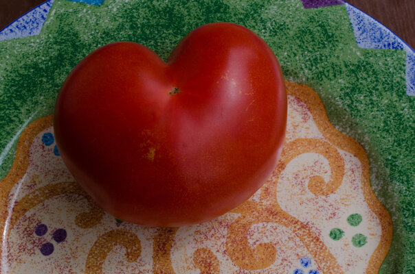 tomato heart 2.jpg