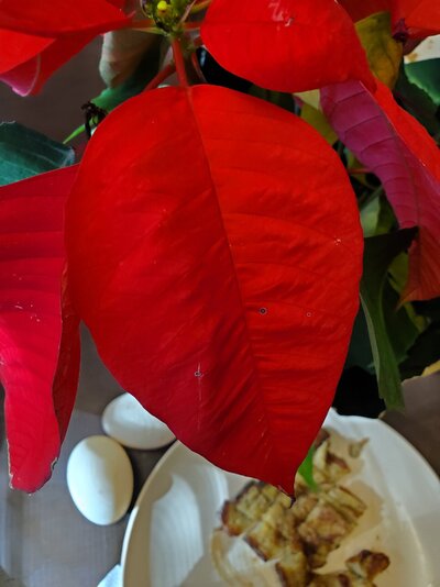 20211129_113106.jpg