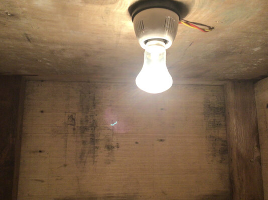 D90AFB74-8389-46DA-B3FA-1BD1EE64F231.jpeg