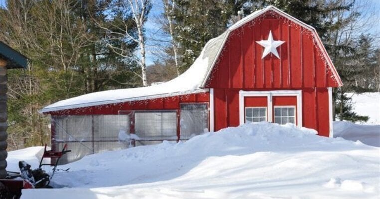 Winter Chicken Keeping