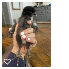 Chick 3_Wk2_003.png