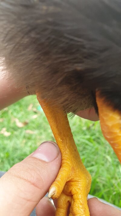 20211211_173640.jpg