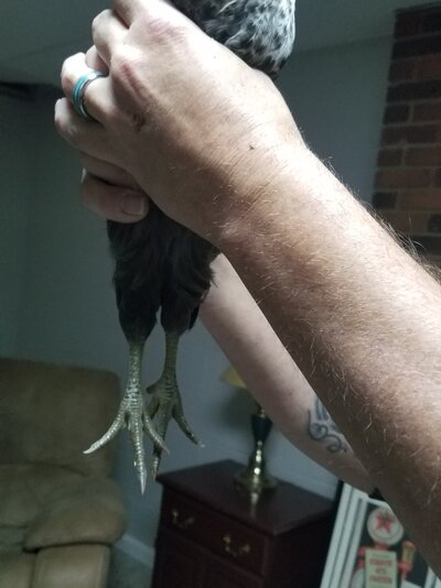 20211213_185548.jpg