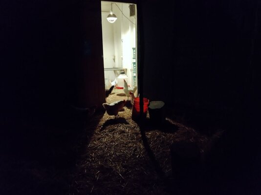 IMG_20211215_065556_HDR.jpg