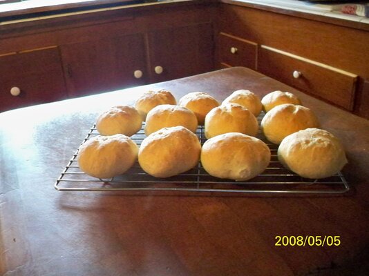 100_0400.JPG