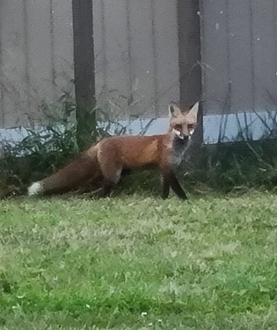 20201209_225459.jpg