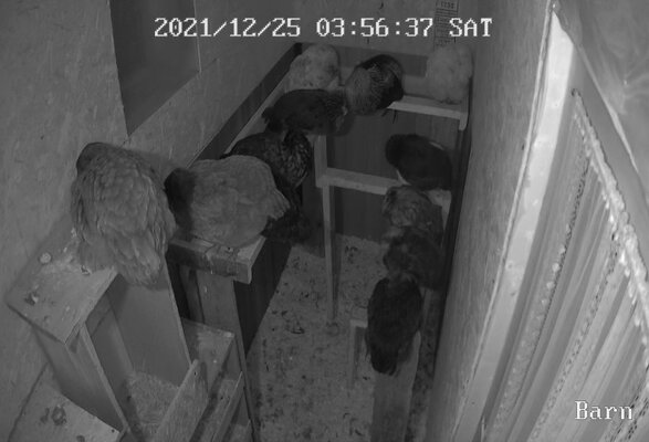 Barn_live_1640422596407.jpg